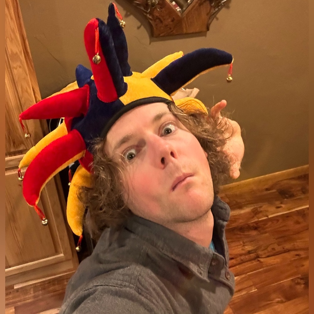 JESTER JOKER CARNIVAL HAT WITH TINGLING BELLS CAN YOU TAKE ME SERIOUSLY PLEASE